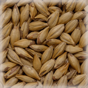 СЛАД КАРА ХАНИ