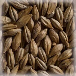 СЛАД КАРА БЛОНД