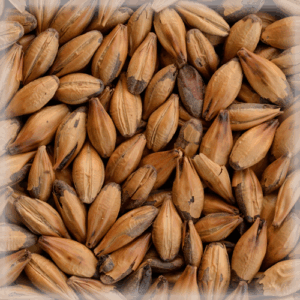 СЛАД КАРА КАФЕ