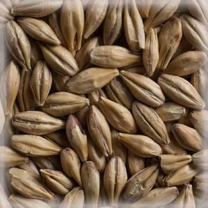 СЛАД КАРА КЛЕР