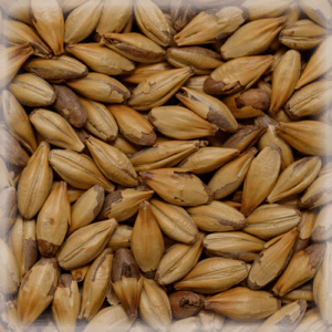 СЛАД КАРА ТЕРА