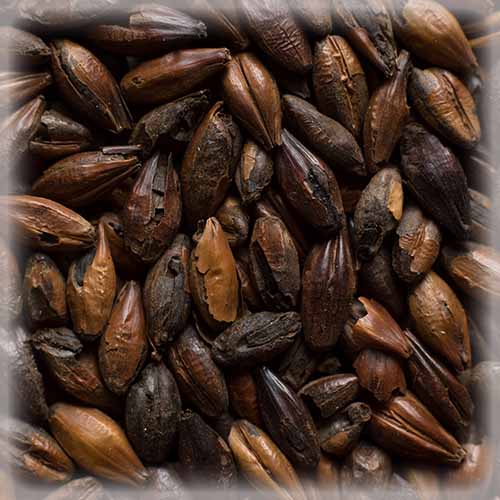 СЛАД ЧОКОЛАТ