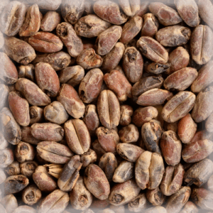 СЛАД ВИТ АРОМ