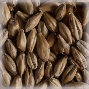 СЛАД МЈУНИХ ЛАЈТ