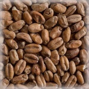 СЛАД ВИТ МЈУНИХ ЛАЈТ