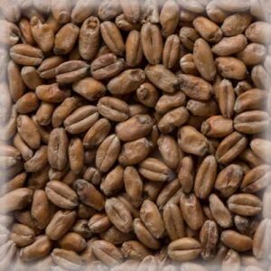 СЛАД ВИТ МЈУНИХ