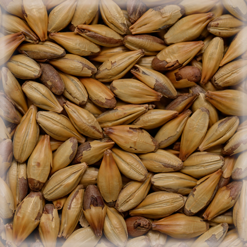 СЛАД КАРА ТЕРА