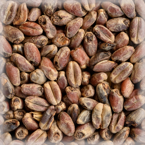 СЛАД ВИТ АРОМ