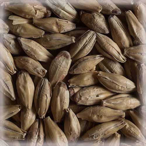 СЛАД МЈУНИХ