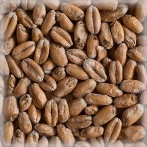 СЛАД ВИТ БЛАНК